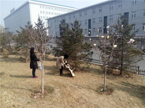 20170414064034_97170.jpg
